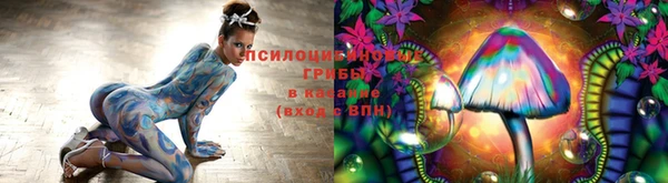 кокс Переславль-Залесский