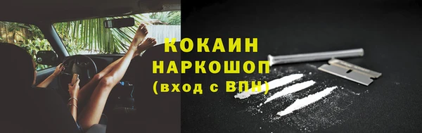 прущий лед Пересвет