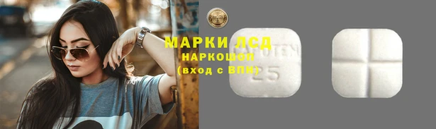 прущий лед Пересвет