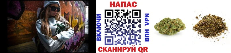 MEGA ССЫЛКА  Сергач  Канабис планчик 